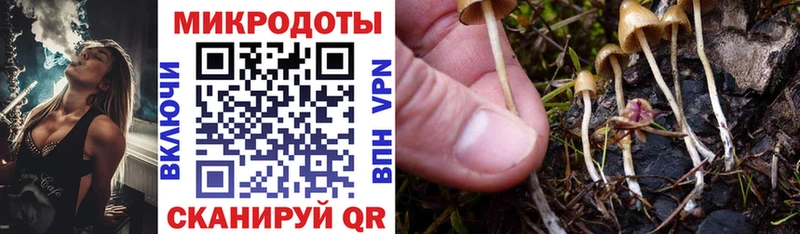 продажа наркотиков  Новая Усмань  Галлюциногенные грибы мицелий 